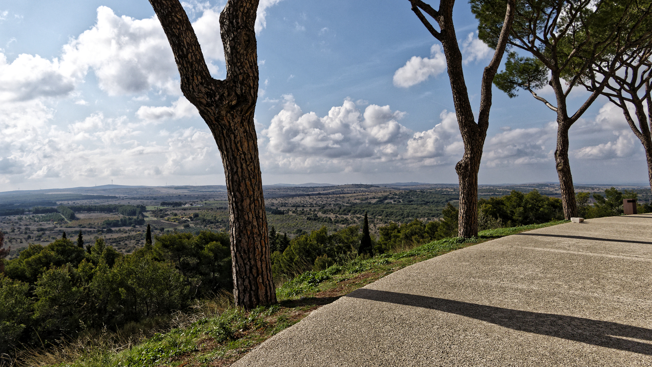 20251019•142331•Castel del Monte•Corato•Apulia•IT